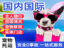 扬州泰州机场快递国际宠物托运 【国